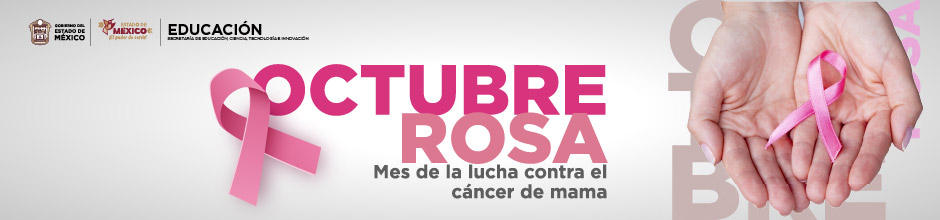 MES ROSA 